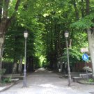 Lovely Avenue in Castel Arqueto