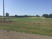 On the way in the heat to Compagnano